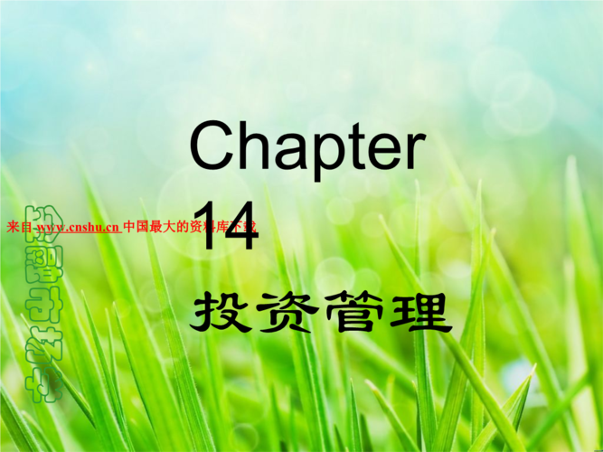 国际环境下的投资管理